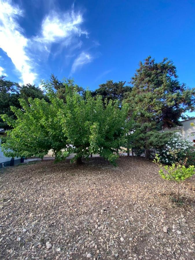 La Casa Del Gelso Apartman Tonnara di Bonagia Kültér fotó