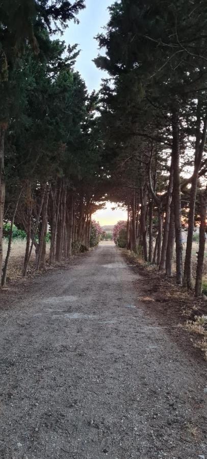 La Casa Del Gelso Apartman Tonnara di Bonagia Kültér fotó