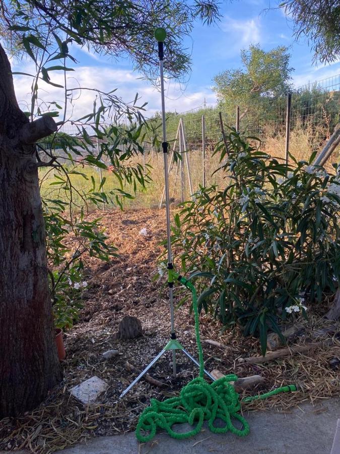 La Casa Del Gelso Apartman Tonnara di Bonagia Kültér fotó
